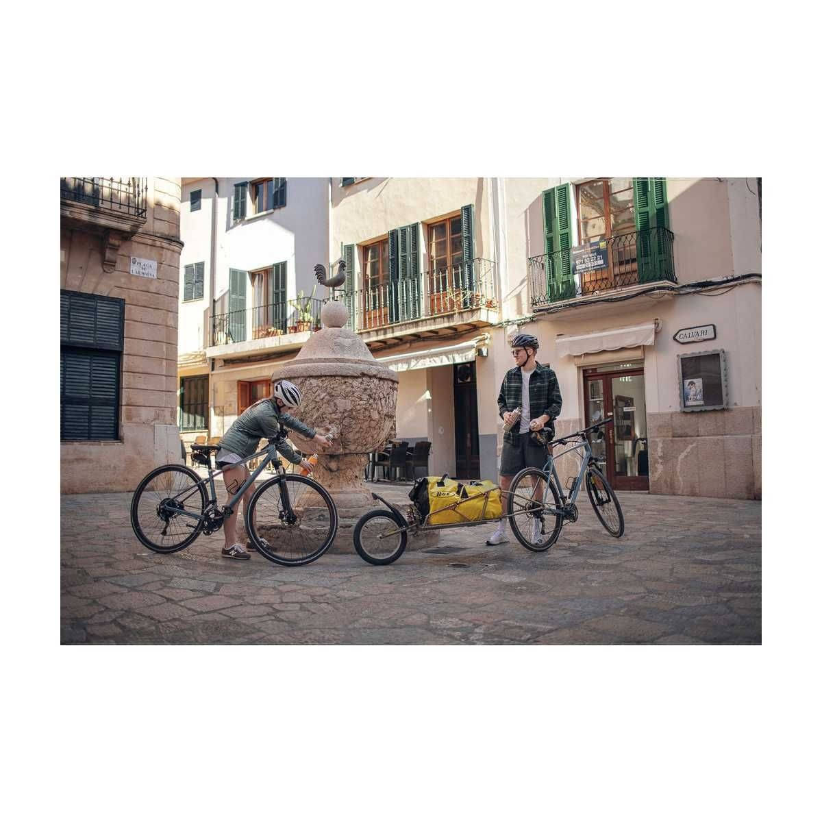 CROOZER Lastenanhaenger BOB IBEX fuer 26 Zoll Gold ohne Tasche - 141107002