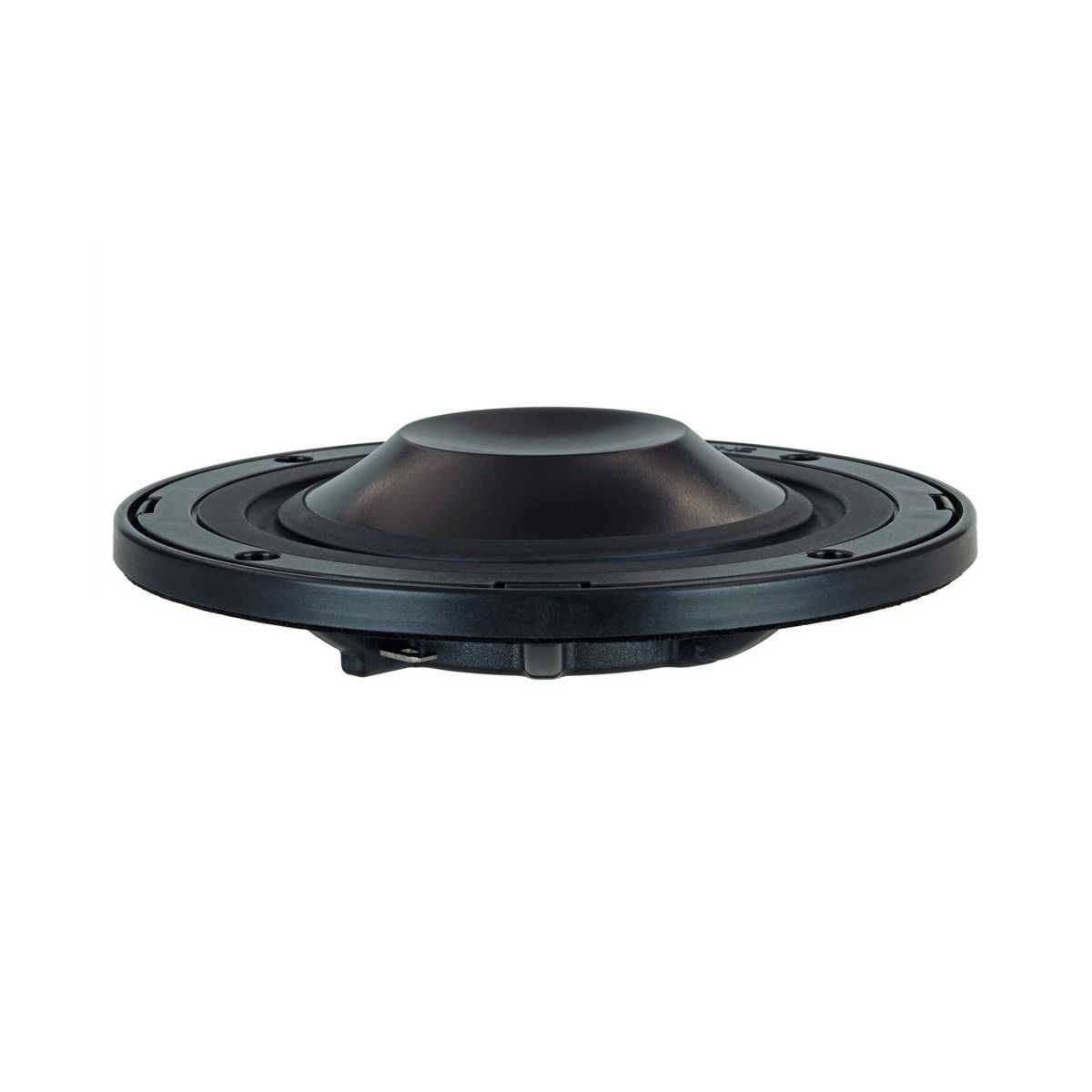 ALPINE Adventure Audio Soundystem SPC-R100S