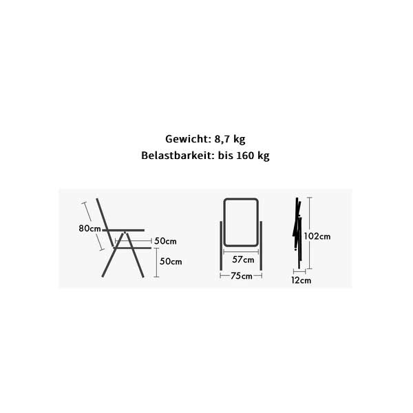 Set WESTFIELD Aeronaut Relaxsessel anthracite grey 2 Stuehle - Performance Series - 201-613 AG