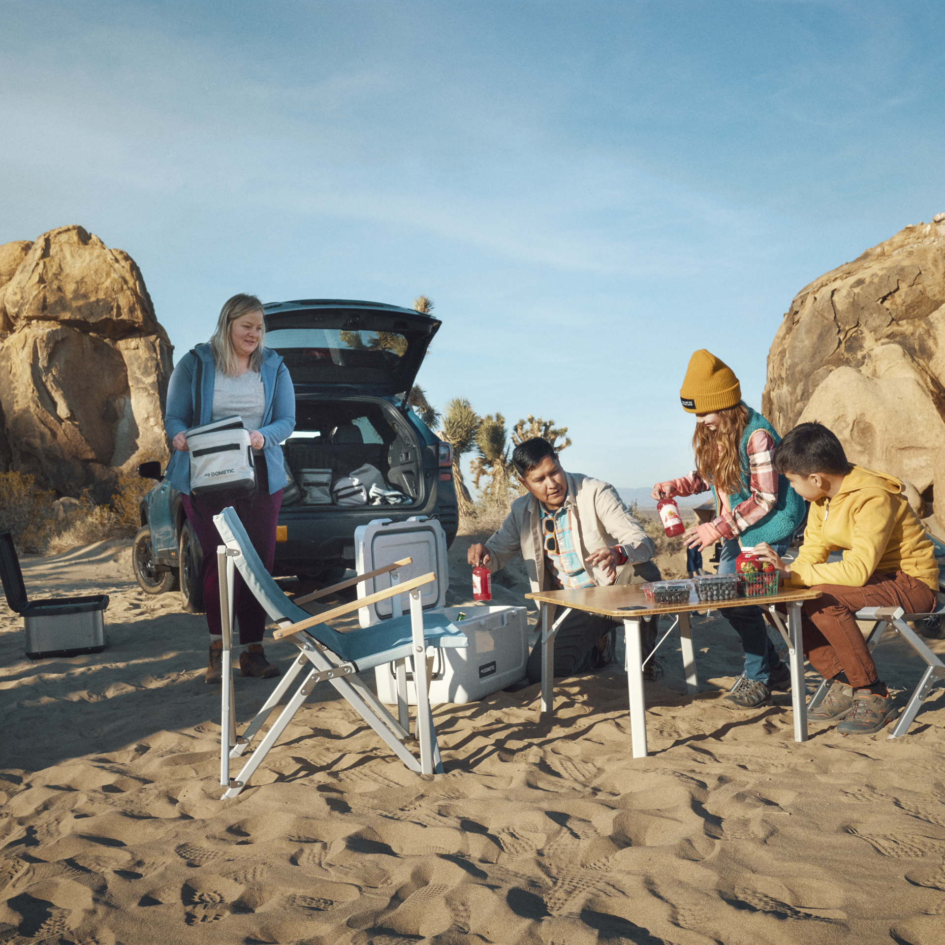 DOMETIC GO Compact Camp Chair Ash - 9600050816