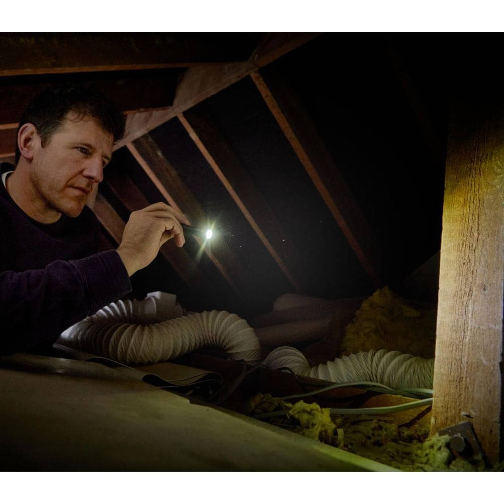 OSRAM LEDinspect® TORCH 250 ESSENTIAL Taschenlampe - LEDIL427ESN