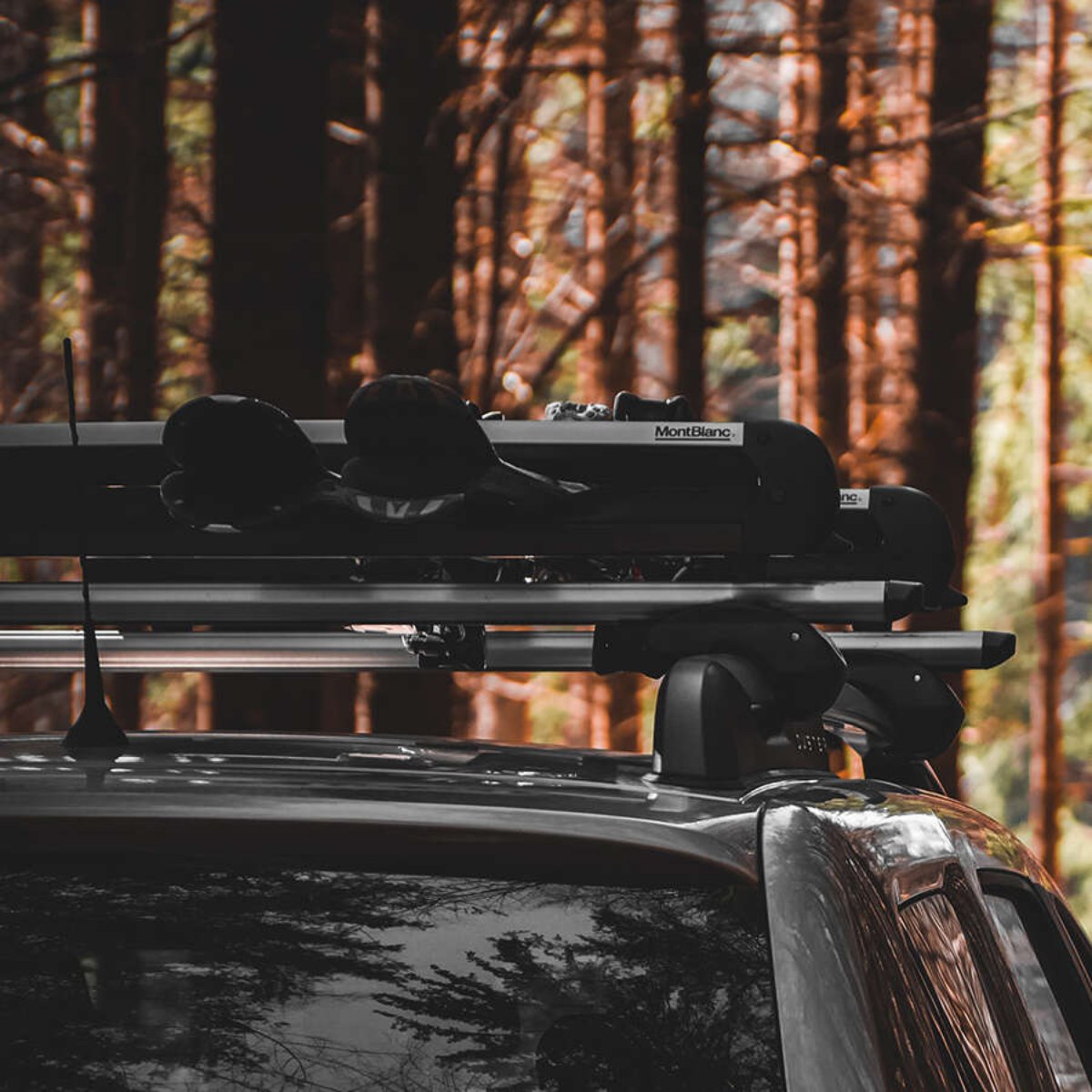 Mont Blanc Skidachtraeger Crest Alu Fit - 728162