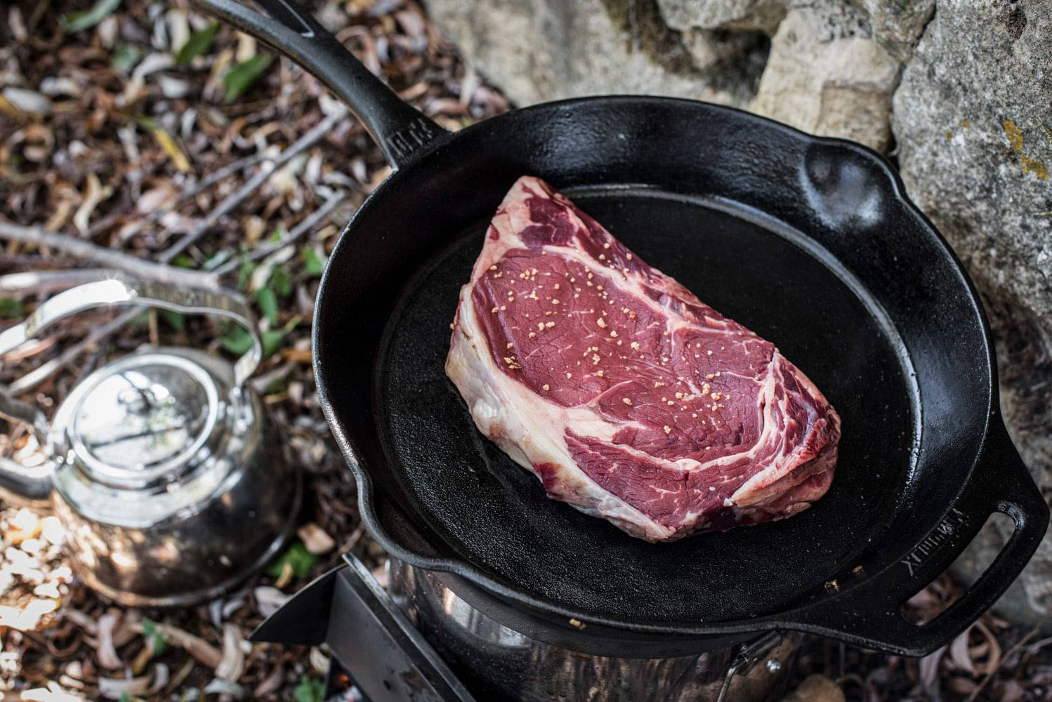 PETROMAX Feuerpfanne fp30 mit Stiel PETROMAX Feuerpfanne fp30 mit Stiel fp30-t