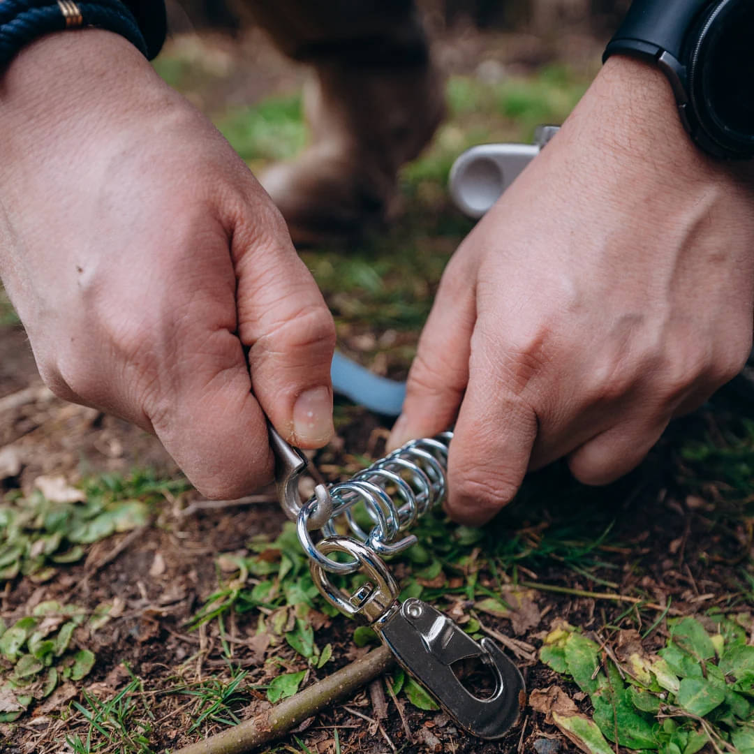 PEGGY PEG PetPeg 2.0 Schraubhering mit Stossdaempfer 33 cm - HP63