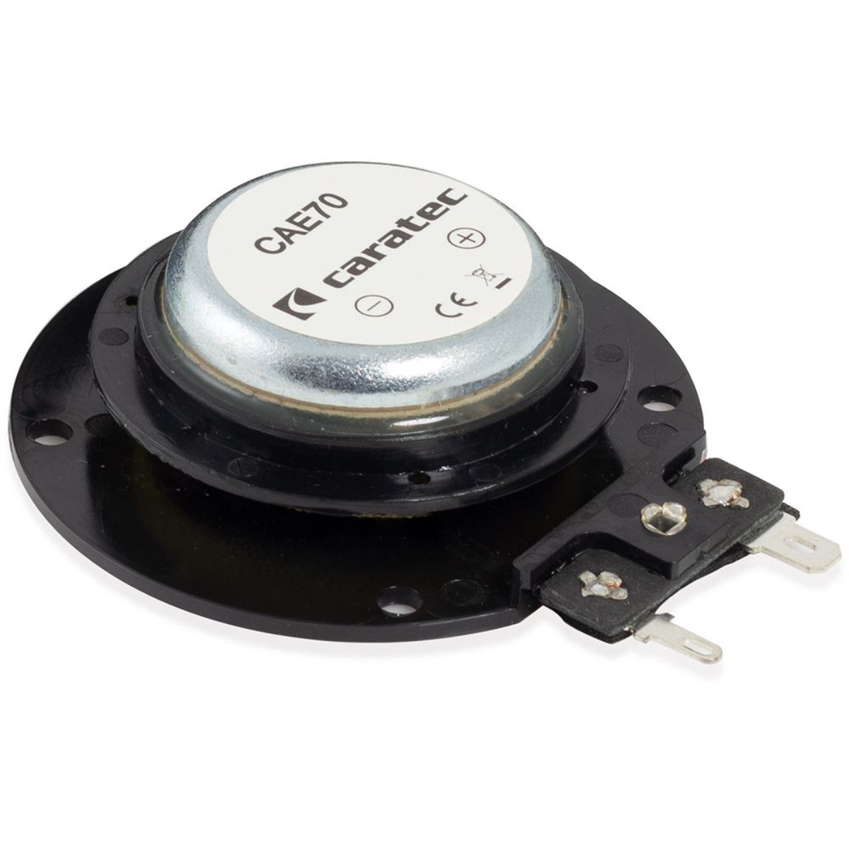 CARATEC Audio CAE70 Exciter Schwallwandler - CAE70