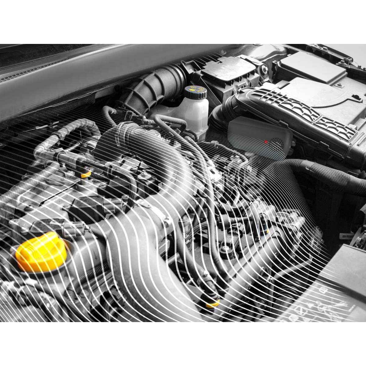 MARDERSCHRECK Marder-Abwehrgeraet Batteriebetrieben - 16275