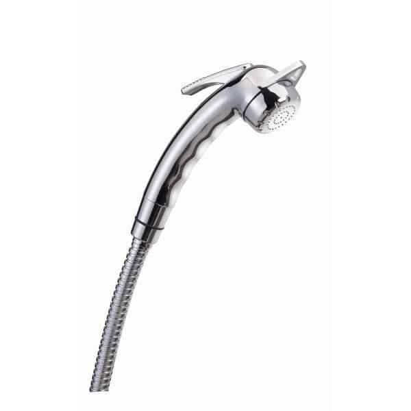 REICH Handbrause Charisma chrom