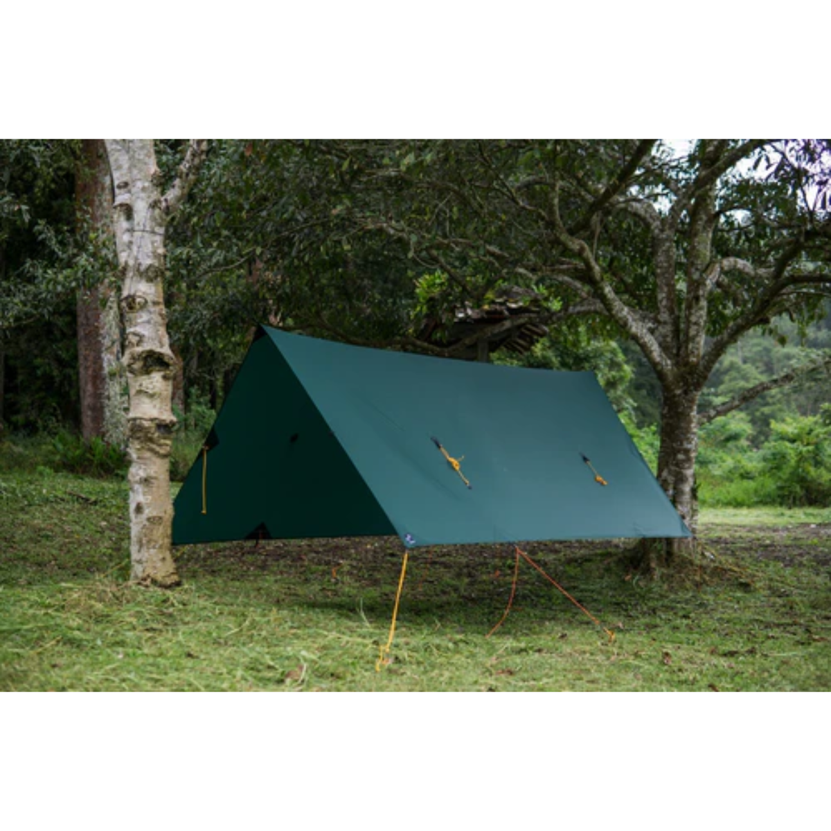 TICKET TO THE MOON Fullmoon Tarp All season Hammock Tarp Forest Green TICKET TO THE MOON Fullmoon Tarp All season Hammock Tarp Forest Green - TMFMTARP