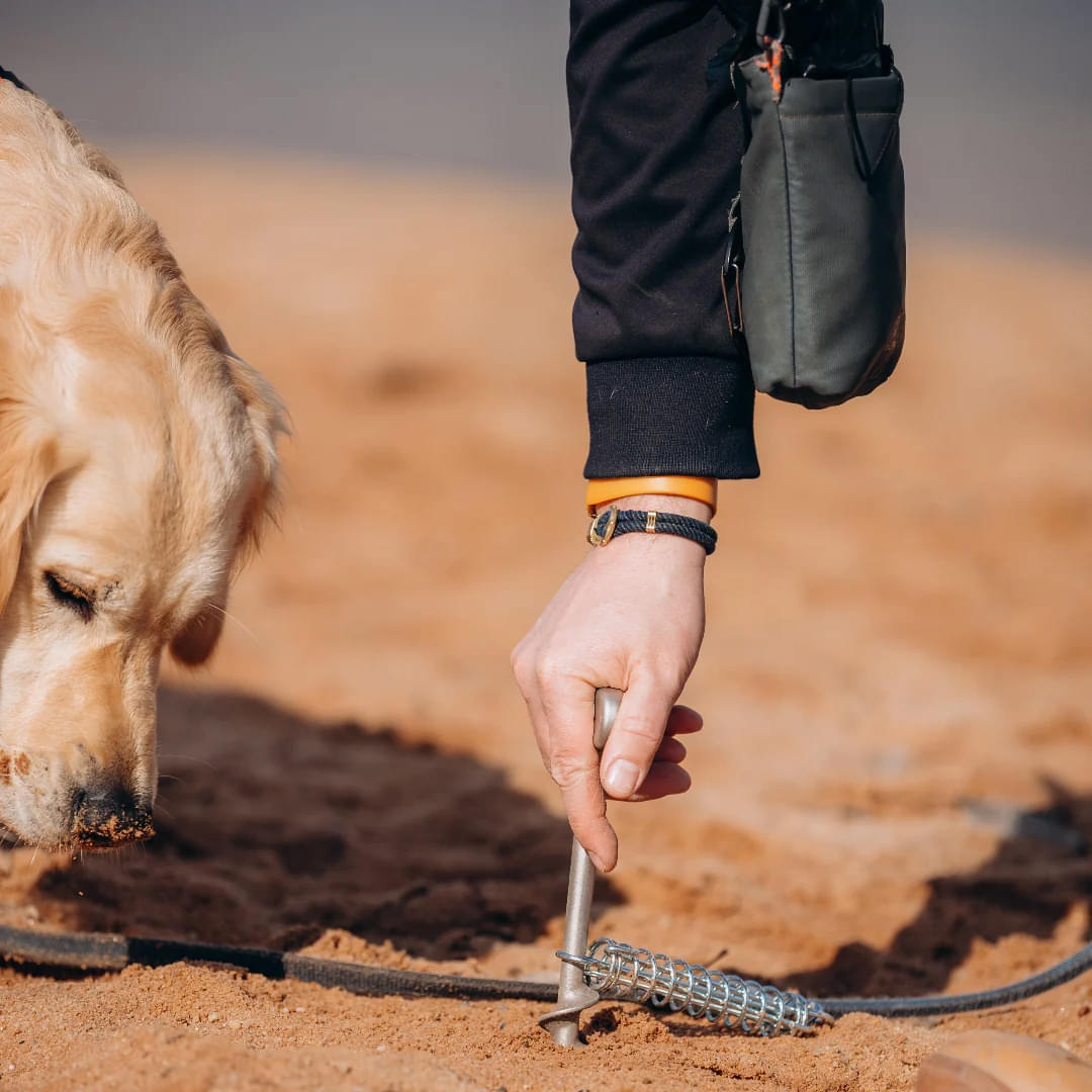 PEGGY PEG PetPeg 2.0 Schraubhering mit Stossdaempfer 33 cm - HP63