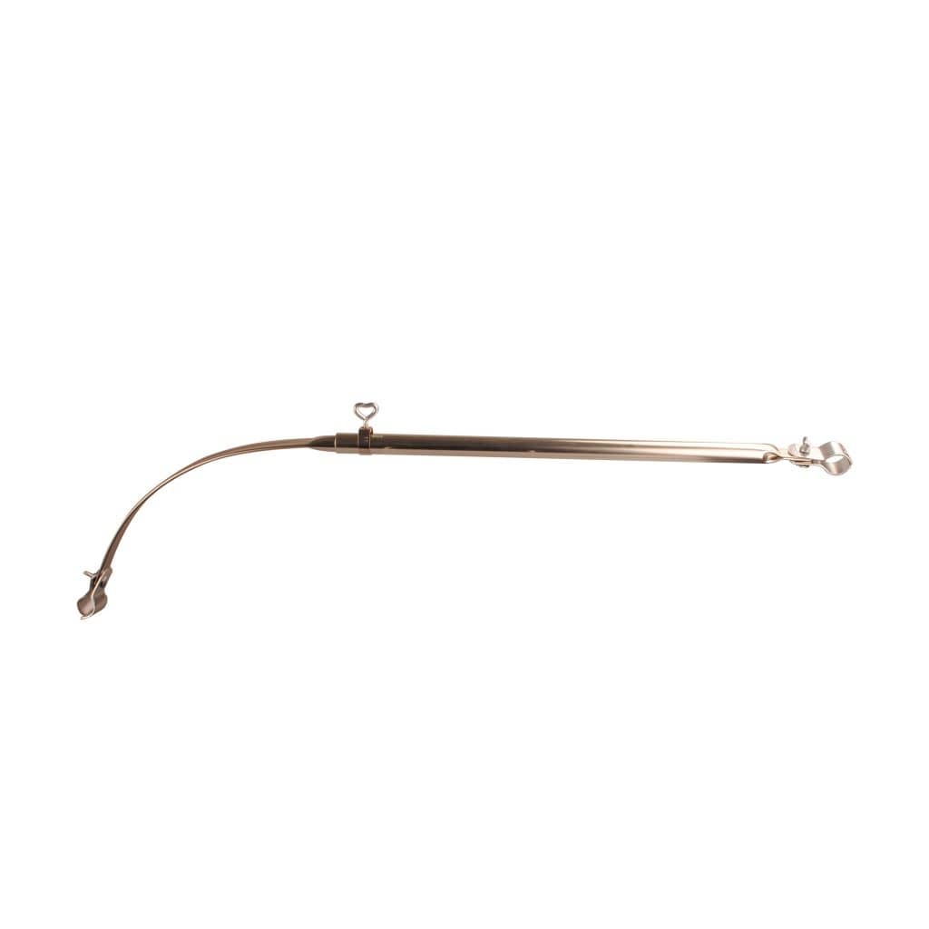 DWT teleskopierbare Dachauflagestange gebogen 25 mm Alu- 205-255 cm