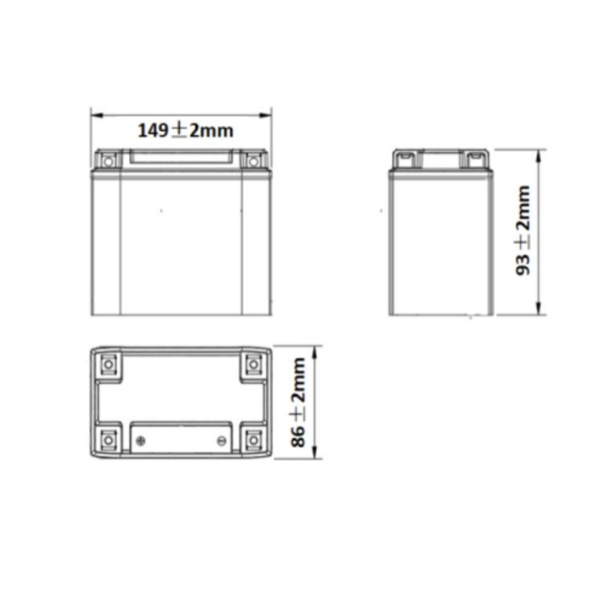 BULLTRON Lithium-Batterie 6Ah 12V fuer Clesana C1 inkl. Power-Management und Anschlusskabel