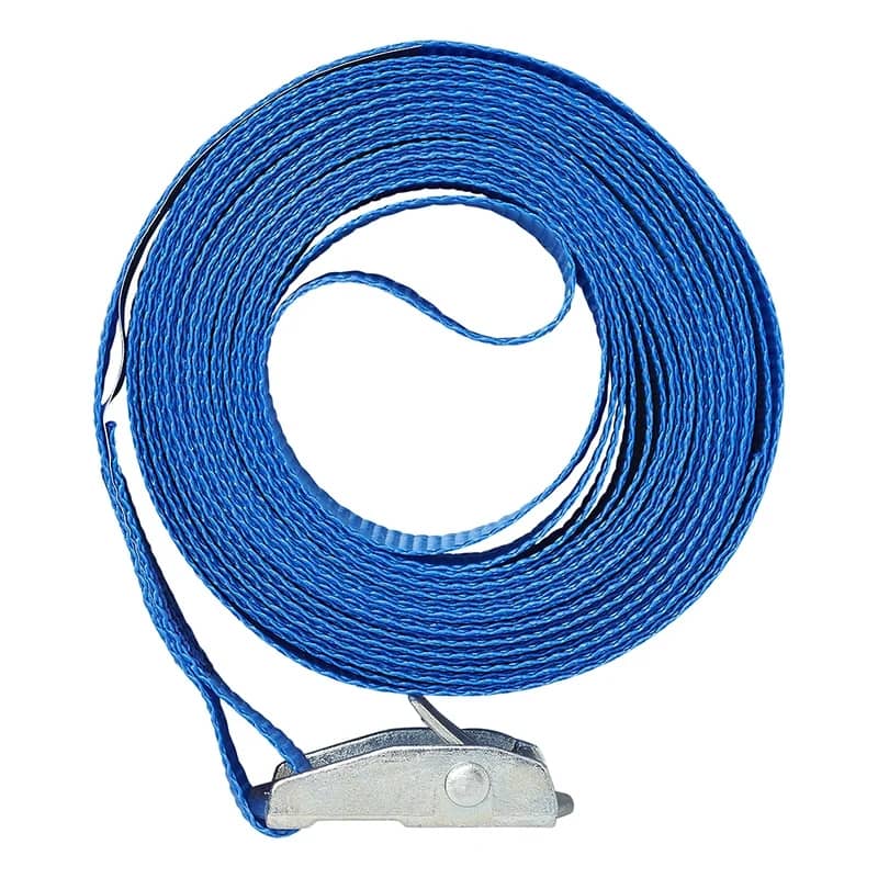 ProPlus Spanngurt Zurrgurt mit Schnellverschluss 5m 25 mm Blau - 320062