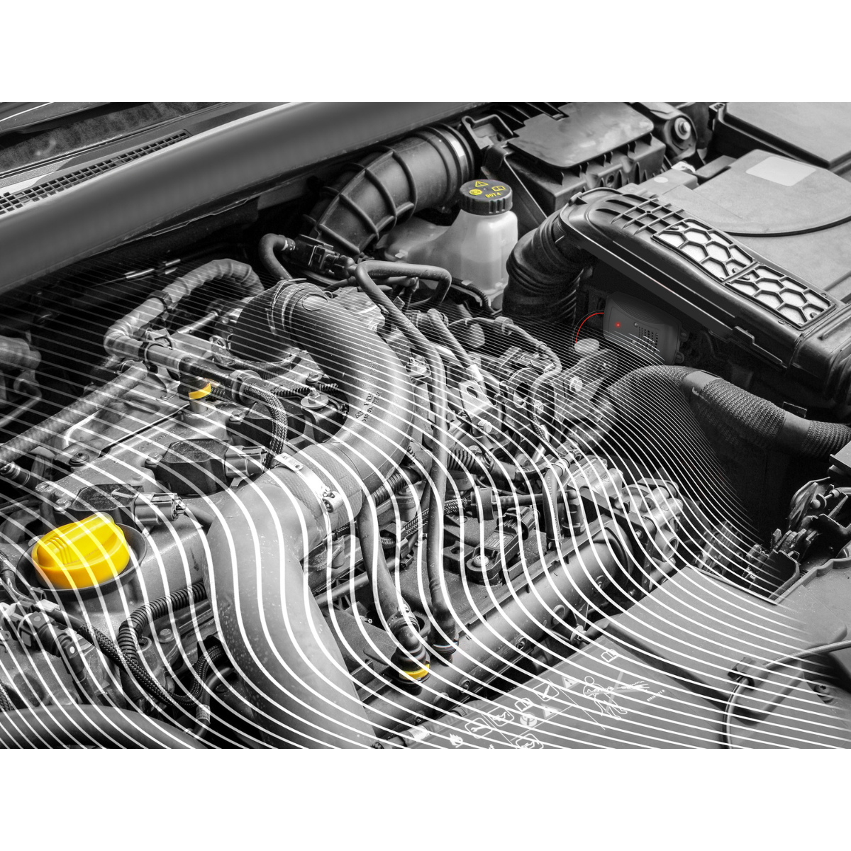 MARDERSCHRECK Marder-Abwehrgeraet mit LED - 16276