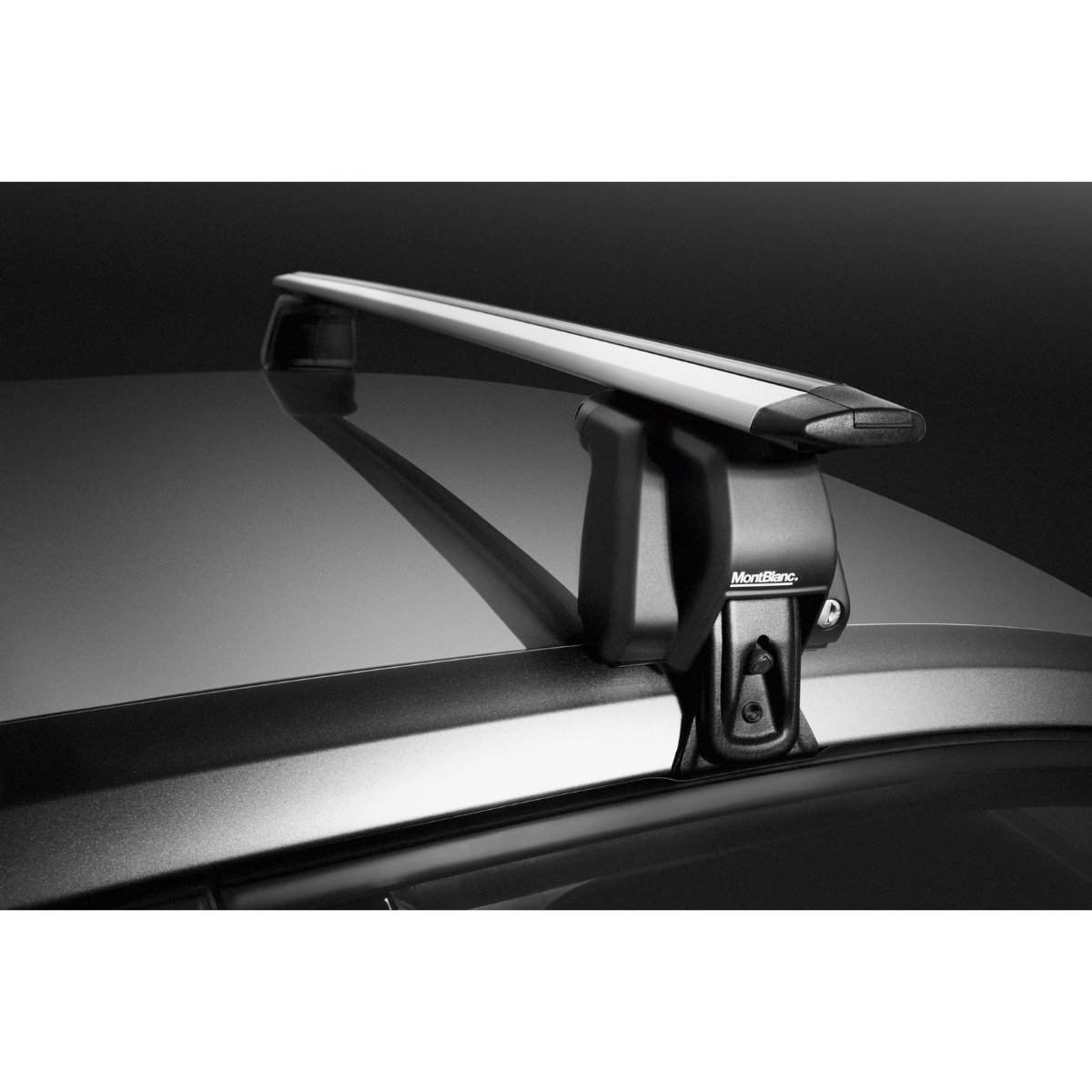 Mont Blanc Dachtraeger FURKA silber - 701001