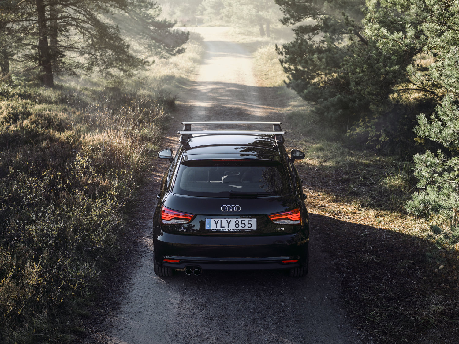 Dachträger Ratgeber