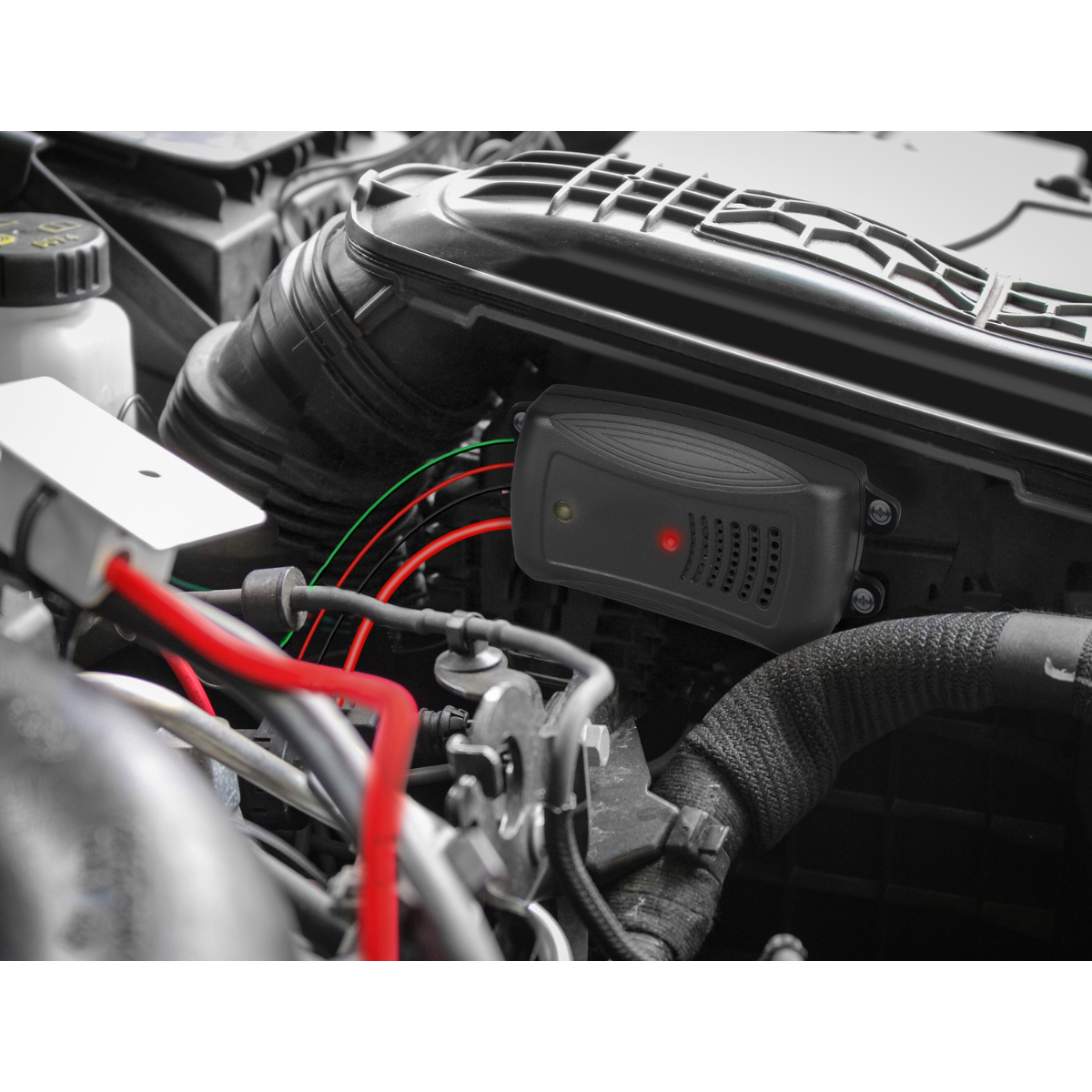 MARDERSCHRECK Marder-Abwehrgeraet mit Hochspannung - 16277