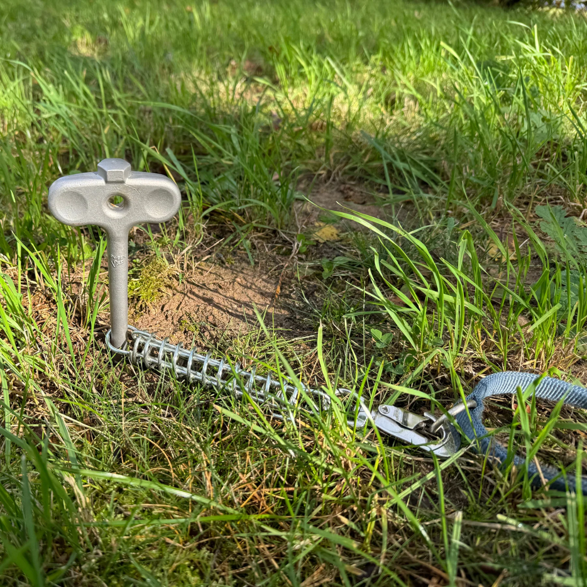 PEGGY PEG PetPeg 2.0 Schraubhering mit Stossdaempfer 33 cm - HP63