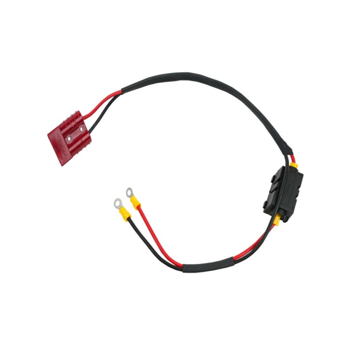 BULLTRON Lithium-Batterie 6Ah 12V fuer Clesana C1 inkl. Power-Management und Anschlusskabel