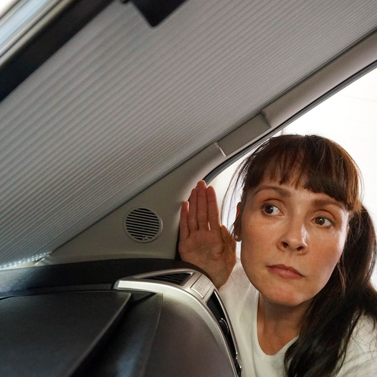 CARATEC Audio CAK1650-DU Kompo-Lautsprechersatz - CAK1650.DU