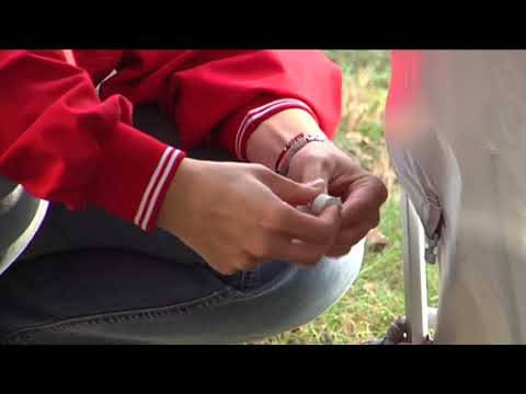 Vorderwand FIAMMA Blocker Pro 350 cm